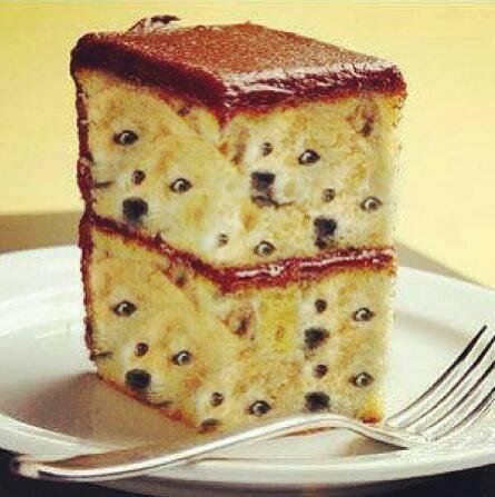 DogeTheDog's tweet photo. Wow
                                   So delish http://t.co/Aoi7kAxmsJ