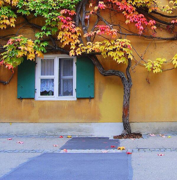 shintextile's tweet image. thingssheloves:
Different grades of autumn by aremac on Flickr.