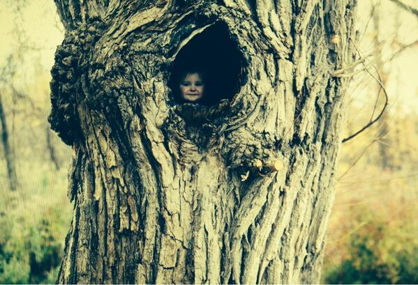 I just spotted this little Hobbit in the willow by the creek!