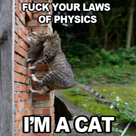 Cat_Science tweet picture