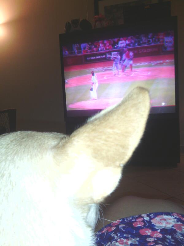 sammarquez330's tweet photo. @PabloAlsina 
Apoyando a SL pq mi mami es Yankee y ella dice cualquiera menos Boston. Estamos en Hollywood, Fl. http://t.co/33WwANaywv