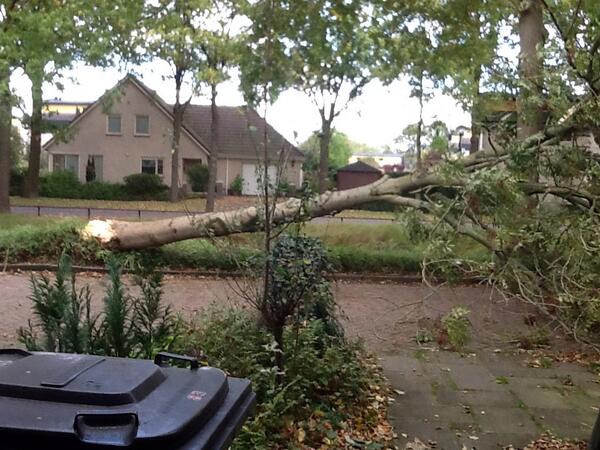 Ik stond net buiten boel gekraak en boem daar lag de boom op de weg. Staat normaal werkbus van ml