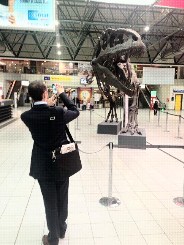 #Dino <a href="/MRSNTORINO/">MRSN Torino</a>  ultimi giorni a <a href="/AeroportoTorino/">Aeroporto di Torino</a>  aspettando #MuseoScienze riapra appena possibile #UnMioImpegno