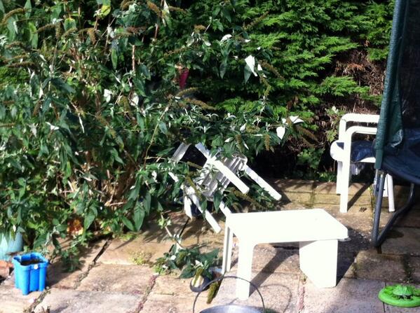 Chair saved by bush #ukstorm