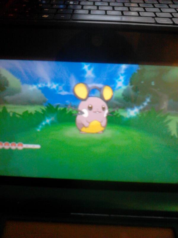 Mes shiny BXpoAf0IQAAGbLH