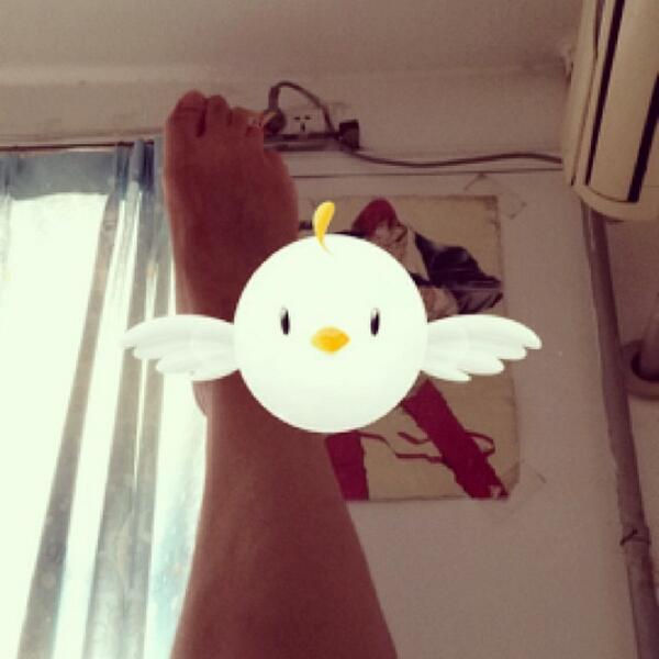 PicPicApp's tweet image. Who is kickin' our Pic Pic? #picpicoftheday #picpic #picoftheday #bestoftoday #photooftheda... ift.tt/17TfEPd