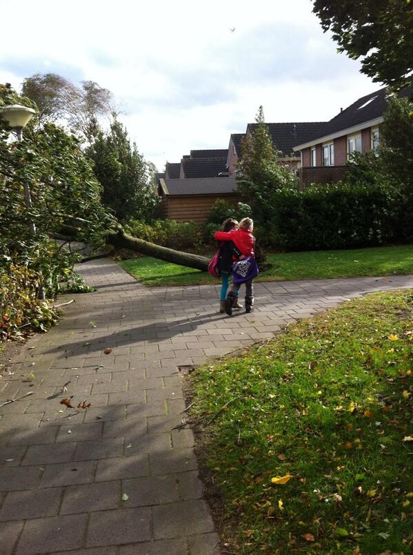 a249's tweet image. Ook hier storm!