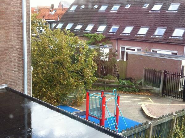 Boom omgevallen op schoolplein Montessori Hoorn. Kinderen gelukkig net binnen!