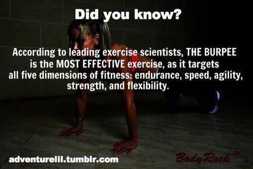 PftFit's tweet image. Plenty of burpees tonight bootcampers!