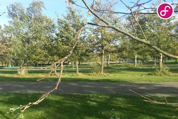 Dancefields's tweet image. Ook de #Wijthmenerplas gaat gebukt onder de #storm