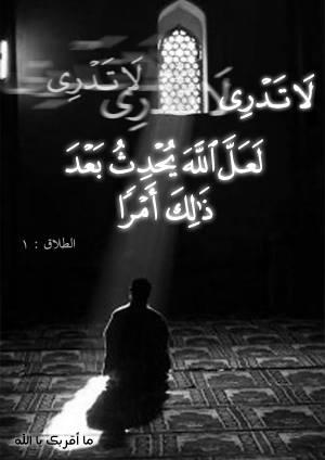 HumeedA tweet picture