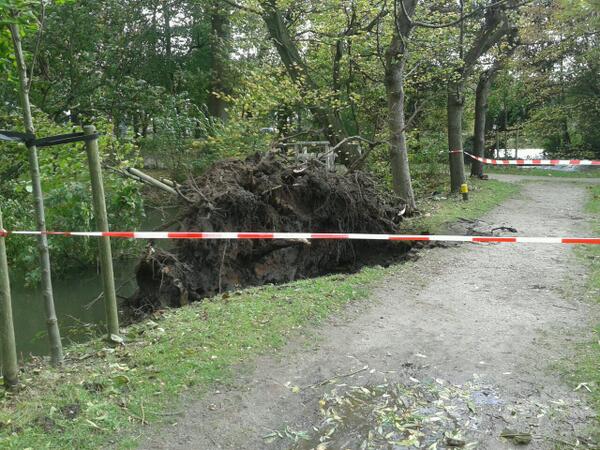 Lekker hoor outdoor training bij windkracht 10..zoek de boom opdracht omgewaaid #teambuilding#stormvastecollega's