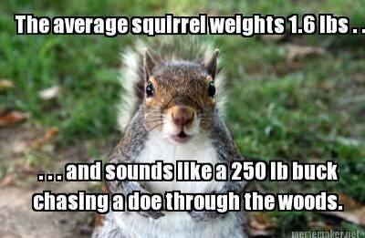 OutlawCowgirl_ tweet picture