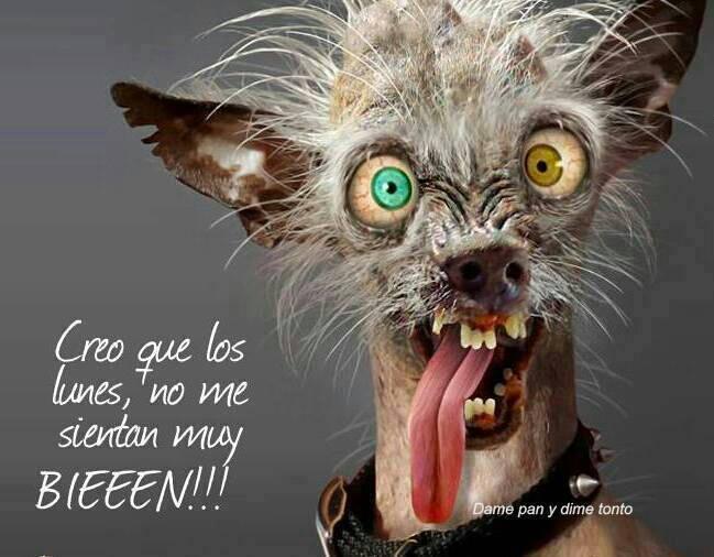 ☆ Imágenes ☆ on X: "Otra Vez Lunes... http://t.co/kUrFBfVQvd  http://t.co/eqqONVuYst" / X