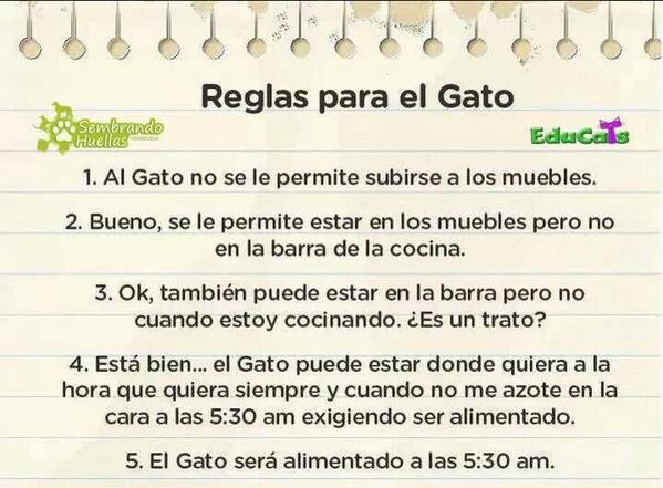 Heidulines's tweet photo. consejos utiles http://t.co/QqVlH0IU1R