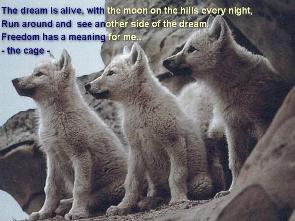 Auuuuuuuuuu Hashtag On Twitter