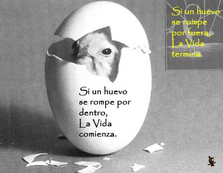 KarlosCoach's tweet photo. El potencial esta dentro de ti... http://t.co/3CgNcGlX9A