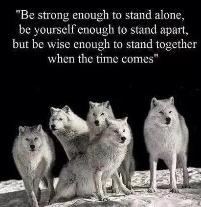 lili_669's tweet photo. @Hunter_669 @Spugsy_669 @Caleb_669 @Jolene_669 @Jaxon_669 @mckenna_669 @Gage_669 
#AlphaBlood http://t.co/5jNWwjvCxU