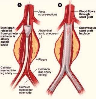 TRAUMA-SURGERY ARABS tweet media