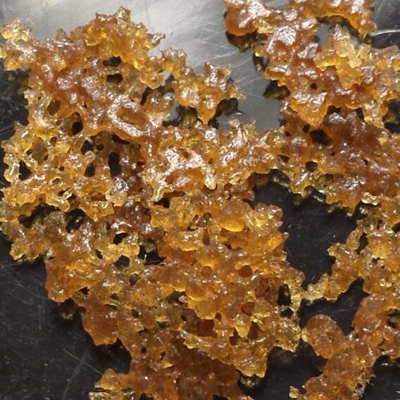 ExtractArtist's tweet photo. Damn, can't wait for the patients to get this LA cheese @ Fremont County Cannabis!!! http://t.co/qh6JFrsFGH