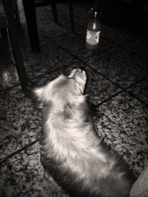 SanchezPluto tweet picture