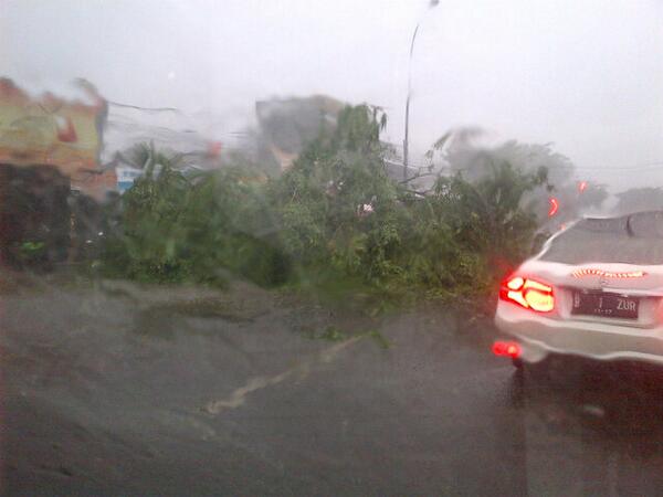 Pohon tumbang di perempatan lamp merah cilandak #lalin