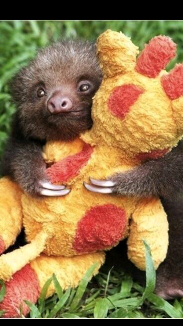 AndyTellas's tweet photo. Awwww tepsics finally getting a hug from someone http://t.co/3YtRghyXlf