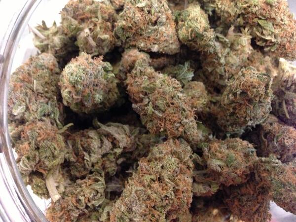 KTCollective's tweet photo. Strain Of The Week - "Grape Ape" - so pretty - how can you say no? #mmj #cannabis http://t.co/KZUt89haqO