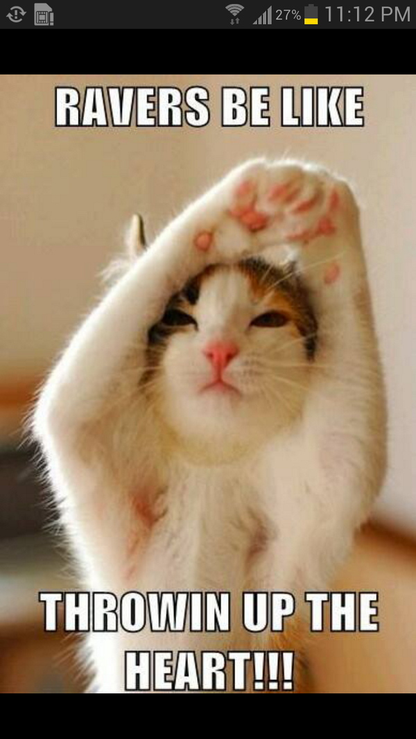 MEOWwetalkinxo's tweet photo. “@steve_profitt: @MEOWwetalkinxo I saw this and thought of you instantly lolol http://t.co/fK9gNo19iI” lolol love ittttt