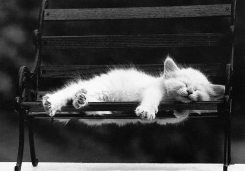 KeyCollection_'s tweet image. Всем хорошего утра