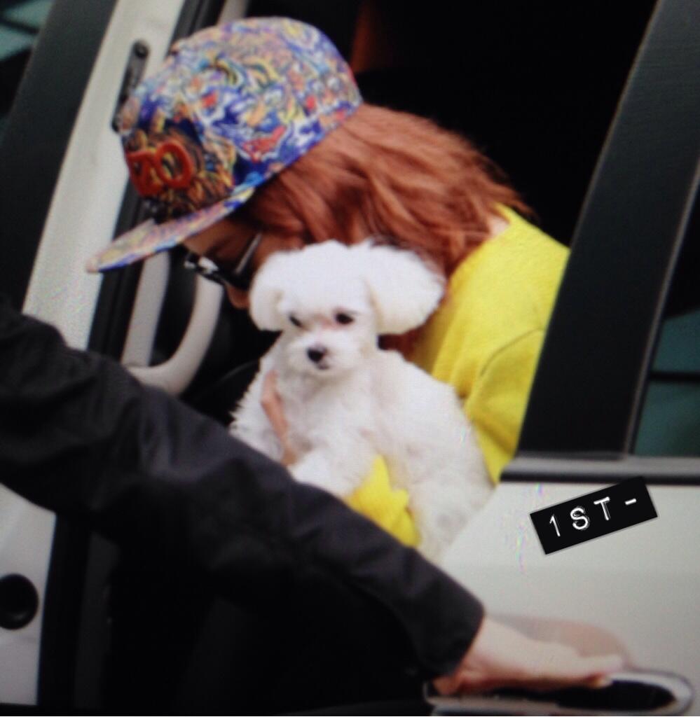 BXuSQiVCEAAtaEI.jpg:large