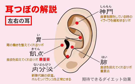 kantan15's tweet photo. ★耳ツボダイエット★
飢点…食欲抑制の効果有
神門…空腹時のいらいらを和らげる
胃…胃の働きをを整える効果有
肺…食欲抑制の効果有
内分泌…新陳代謝UP。ホルモンバランスを正常に保つ https://t.co/EwgErR78AP