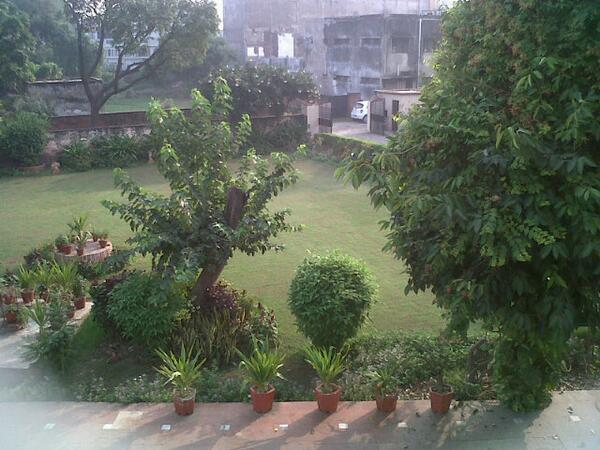 maniguptamehra's tweet image. @ITCJohnPlayers #Swap2Win amazin greenry of my house