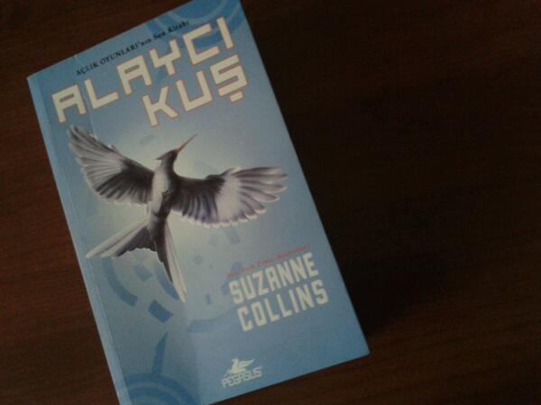 Ve sonunda seri biter...