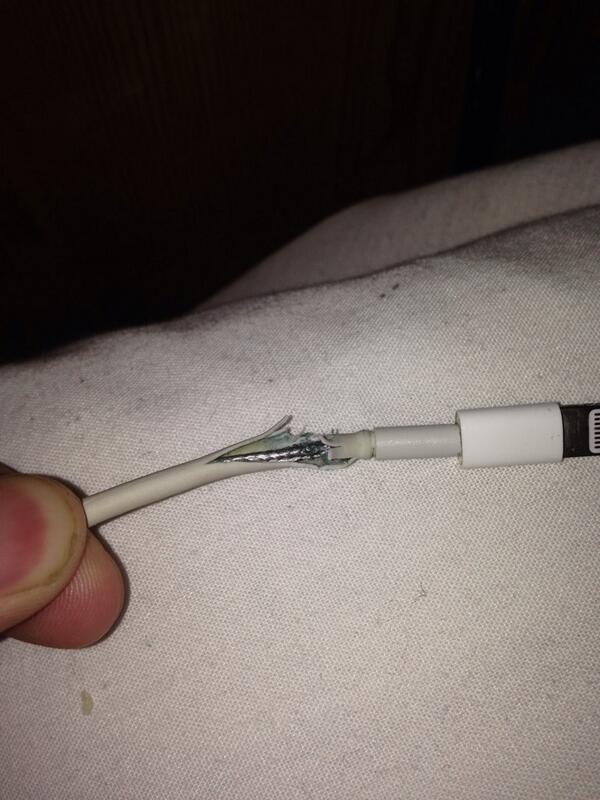 Jasnryn's tweet image. The absolute fuck apple? #apple #lightningadapter