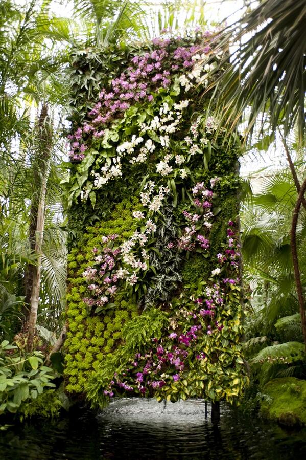 DstudioDValera's tweet image. Precioso jardín vertical de orquídeas por Patrick Blanc

pinterest.com/pin/1296896642…