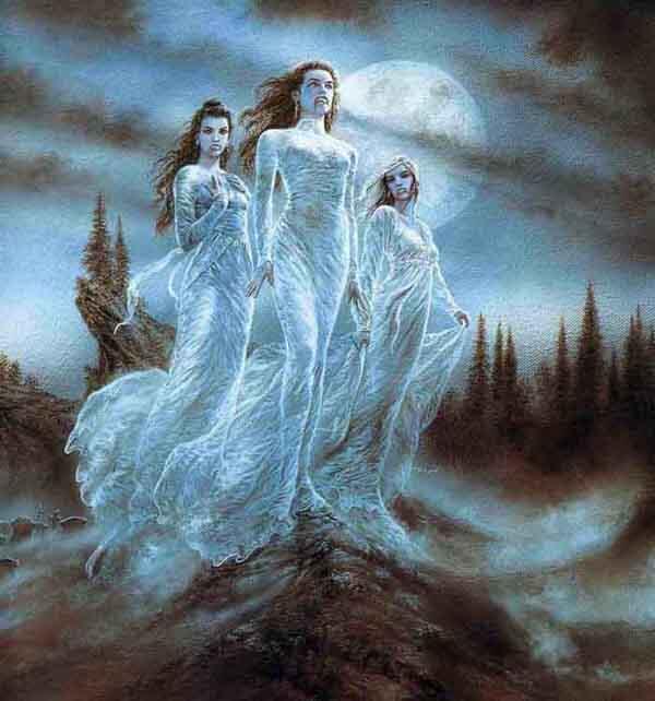 Zarablack's tweet photo. Vampires! #FavouritePhotoOfTheDay http://t.co/FzibqeU7Mw