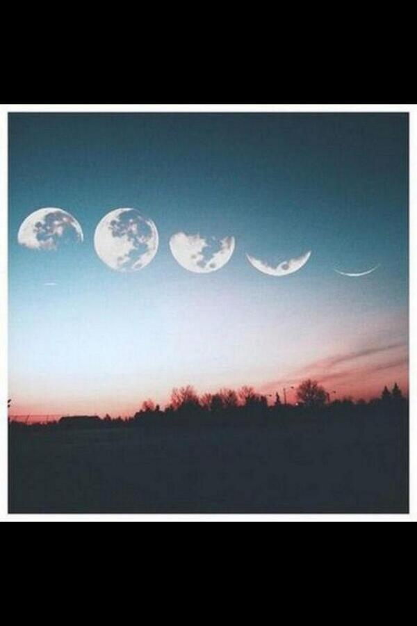 Science_Pics's tweet image. 