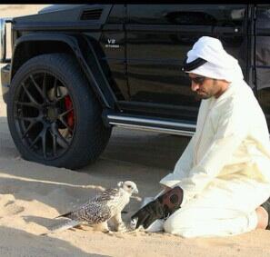 AlhabsiM's tweet photo. خاز http://t.co/p9BPbXusYm