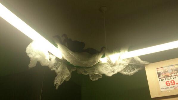 Las Palmeras (@laspalmerasarn) on Twitter photo 