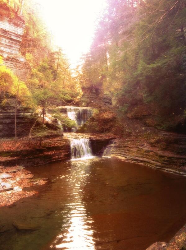 Rest day hike with my best friend!