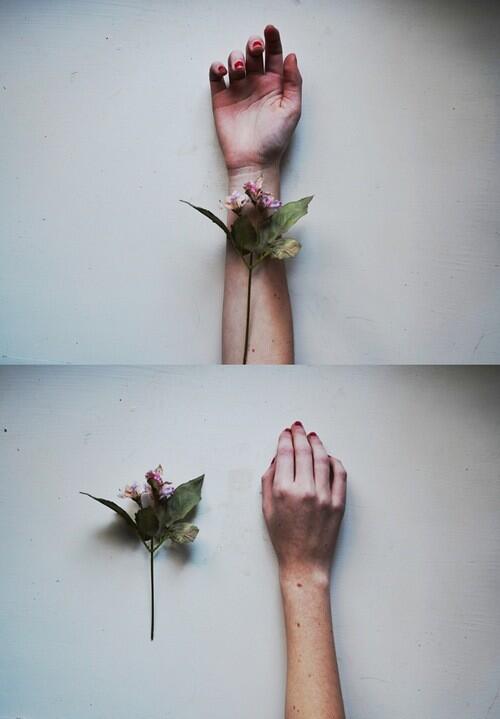 nilsukarabiber's tweet photo. http://t.co/t5yp83UBLA