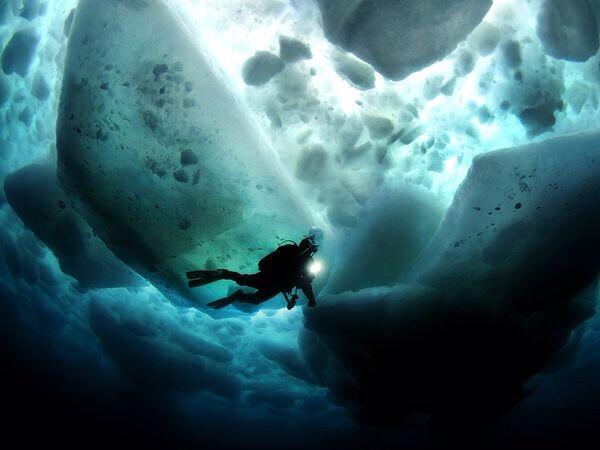 WOW!!! On my bucket list!! Is ice diving on yours? #scuba #icediving #ocean #coldwaterdiving #dive #bucketlist