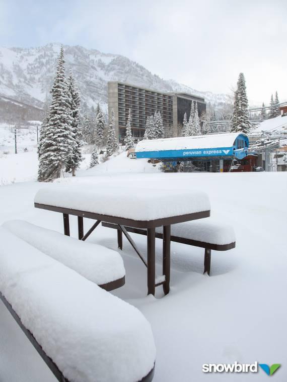 Snowbird tweet picture
