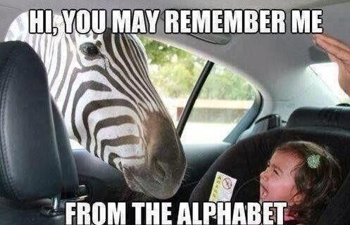 WalshPete's tweet image. #zisforzebra