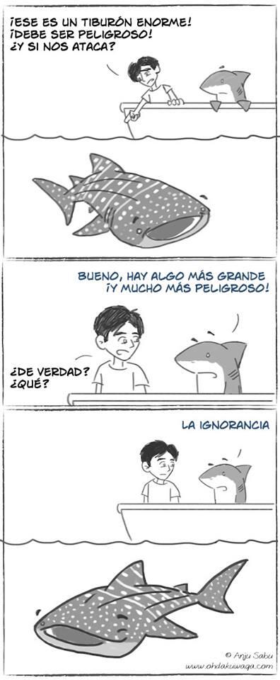MxPiensaVerde's tweet photo. #Ignorancia nuestro peor enemigo @MxPiensaVerde #salvalaloma http://t.co/UZ6vTtr4YP