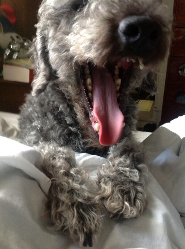 @HuwsThere is doing his best teenage girl/Rihanna/Miley/idiot tongue pose. #CulturalCritique