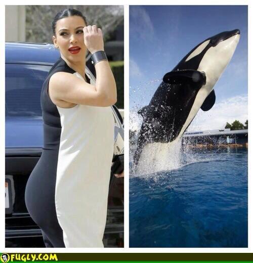 DeepThinkdeep's tweet image. Found her twin