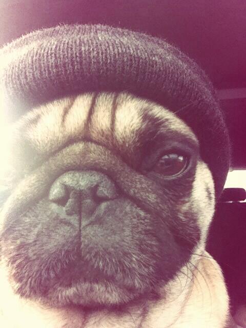 Watch Jerry's leaked NSFW photo on TwXstars