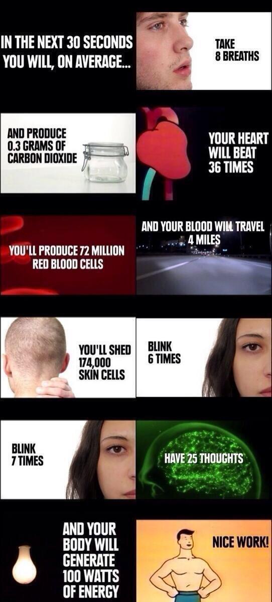 "<a href="/Powerful_Pics/">Powerful Pictures</a>: And you thought you were being lazy... "